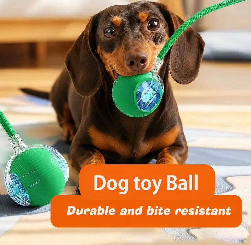 Dachshund Smart Motion Ball™ | Rechargeable Interactive Rolling Toy for Endless Fun & Exercise