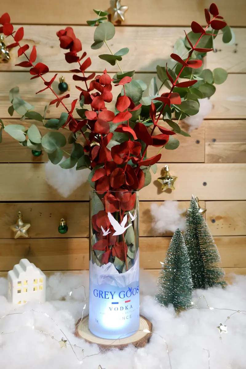 Vaso Grey Goose Vodka