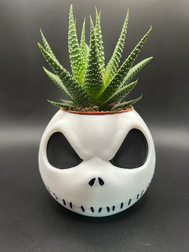 Vaso Jack Skeletron